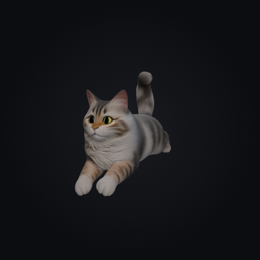 Buffering Cat 3D model
