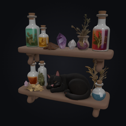 Witch Ingredient Shelf 3D model