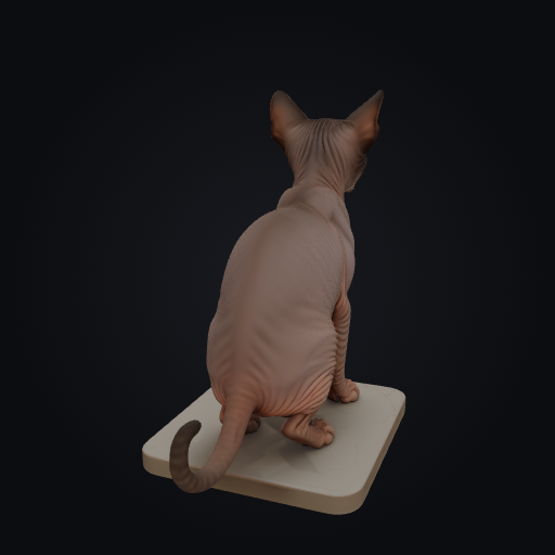 Cat Butthole Coaster 3D model