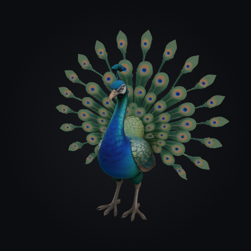 Peacock Display
